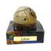 Stone Jar Lotus Solid Perfume Long Lasting Body Fragrance In Large Hand Carved- 8 gm (Pack Of 1)