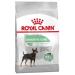 ROYAL CANIN Mini Digestive Care - 3kg Poultry 3 kg (Pack of 1)