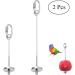 Stainless Steel Parrot Fruit Holder - 2 Pack Vegetable & Fruit Tools for Bird Cages - Buy Online on GoSupps.com