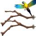 Natural Wood Bird Cage Platforms - Ockyunoo 2 Piece Set | Perfect Bird Seat Rods & Bubble Rods for Nymphensittich - Buy Online on GoSupps.com