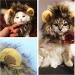 Yunt Pet Costume Lion Mane Wig for Dog Cat Christmas Xmas Santa Halloween Clothes Festival Fancy Dress up with Ears As Shown in Image