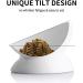 KITCHENLESTAR Ceramic Raised Cat Bowls - Slanted Elevated Porcelain Feeder Bowl for Cat's Spine Health - Backflow Prevention, Stress-Free Feeding - White - Buy Online on GoSupps.com