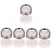 Healvian 5 sentences CAT Claw Colored contact lenses bottle with contact lens solution adorable contact lens tank contact lens organizer tool case outside ABS traveling box