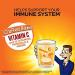 Airborne Zesty Orange Effervescent Tablets 10 Count - 1000mg Vitamin C - Immune Support Supplement - Buy Online on GoSupps.com