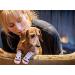 RC Pet Products PAWks Dog Socks - Small Paw Protection (1 Pair) - Buy Online on GoSupps.com