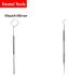 Buy STELLMACHER 8 Pcs Dental Tools - Professional Stainless Steel Teeth Cleaning Kit | Plaque Remover & Tartar Cleaner for Dental Hygiene | International Shipping Available - Buy Online on GoSupps.com