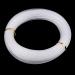 Buy CUTICATE 30m High Strength Nylon Monofilament Fishing Line - 2.0mm Diameter 440lb Tension | Durable & Reliable Fishing Gear - Buy Online on GoSupps.com