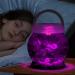 LA KEN DU Small Betta Tetra Fish Tank Decorations Set - 0.5-Gallon Aquarium with LED Lighting Fish Night Light for Kids - Transparent White - Buy Online on GoSupps.com