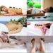 Oksano 16 Pack Large Hot Stone Massage Set - Basalt Stones for Spa Relaxation & Therapy - Buy Online on GoSupps.com