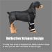 Dog Knee Brace Adjustable Dog Front Leg Brace with Metal Spring Support and Reflective Strap Dog Leg Support for Surgery Recovery Front Leg Injury|Black (L) - Buy Online on GoSupps.com
