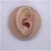 3D Soft Silicone Human Ear Model - Life-Size Ear Puppet for Acupuncture & Science Studies | International Shipping - Buy Online on GoSupps.com
