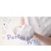 Senka Perfect Whip 4.2 oz (120g) - Gentle and Effective Cleanser - Buy Online on GoSupps.com