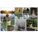 20pcs Baitholder Fishing Hook Rigs with Nylon Coated Wire Leader and Swivel 6.5inch - Buy Online on GoSupps.com