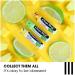 ChapStick Lip Balm 3 Count - Moisturizing Lip Care (Pack of 1) - Buy Online on GoSupps.com