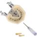 Shop Bovdc Teeth Model - Complete Dental Learning Tool for Tooth Extraction & Patient Communication - Buy Online on GoSupps.com
