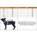 Feiling 2 Pack Hawaii Dog Shirts - Summer Beach T-Shirts for Small Dogs & Cats | Comfortable Pet Clothing (B XS) - Buy Online on GoSupps.com