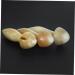 Frcolor Horn Gua Sha Massage Tool | Thai Massage Face Roller & Neck Shoulder Device | Travel-Friendly Finger Massager - Buy Online on GoSupps.com