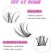 Lash Clusters 100Pcs DIY Individual Eyelash Extensions D Curl 8-16MM Reusable Wispy Lashes (#04) - Natural Look for At-Home DIY - Buy Online on GoSupps.com