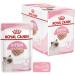 Royal Canin Kitten in Loaf Wet Food 85g (Pack of 24) - Buy Online on GoSupps.com