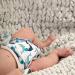 Petit Lulu Newborn Cloth Diaper (2-6kg) | Organic Bamboo & Push Buttons | Fluffy Reusable Diapers | No Polyester - Eco-Friendly Baby Care - Buy Online on GoSupps.com