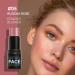2-Pack Highlighting and Finishing Stick Non-stick Face Highlighter and Shadow Pencil Long-Lasting Smooth Face Highlighting Makeup (Rose and Coffee) - Buy Online on GoSupps.com