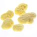 Fine-Pored Soft Silk Natural Bath Sponge | Kosmetex Hygiene & Watercolor Sponge 10 cm - International Shipping Available - Buy Online on GoSupps.com