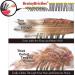 MagicSpell Pro 2 Brush Set - Shiny Blue & Pink - For All Hair Types | Buy Now - Buy Online on GoSupps.com