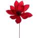 Vickerman 705308-22" Black Velvet Sheen Glitter Trim Poinsettia Spray (4 Pack) (RG223317) - Buy Online on GoSupps.com