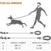 Taglory Reflective Dog Leash - Comfortable Padded Handle Soft Nylon for Large Dogs 150x1.2cm - Perfect for Training & Walks - Blue - Buy Online on GoSupps.com