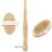 Dry Body Brush with Long Handle - Exfoliating Bath Brush for Shower with Natural Bristles - Remove Dead Skin and Cellulite - Buy Online on GoSupps.com