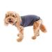 BellyGuard - After Surgery Dog Onesie, Recovery Suit for Dogs, Comfortable Substitute for Cone for Dogs After Surgery,Dog Recovery Suit with Stretch-Fit Cotton Material and Adjustable Rear Flap Medium Grey