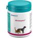 Almapharm Astoral Almacym Powder Double Pack | 2 x 120g | Supplementary Feed for Dogs & Cats | Vital Nutrients for Optimal Health - Buy Online on GoSupps.com