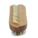 Boar Bristle Hand and Nail Brush with Wood Handle for Manicure and Pedicure - 3-3/4-Inches - Buy Online on GoSupps.com