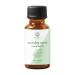 Parsley Seed Essential Oil - Premium Grade 100% Undiluted Essential Oil (1 oz.) | for Aromatherapy Soaps Lotions & Candles | Vegan & Cruelty Free