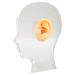 Ear Display Mould Lifelike Soft Fake Ear Model Professional Silicone Flexible for for Hospital