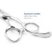 Kinsaro 5.5 Barber Scissors - Professional 440C Hair Cutting Shears with Silvery Convex Blades - Buy Online on GoSupps.com