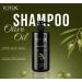 TOTEX Shampoing l'Huile d'Olive 750ml | R paration des Cheveux Secs et Ab m s | Formule Anti-Pelliculaire et Soulagement des D mangeaisons | Adapt aux Hommes et aux Femmes - Buy Online on GoSupps.com