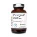 Pycnogenol - extract from the bark of the French nautical pine - 100mg per daily dose - vegetable capsule - vegan - without magnesium stear - 30 capsules bee kenay Europe