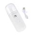 SOESFOUFU Handheld Facial Sprayer Facial Nano Mist Sprayer Moisturizing Shrink Pores Humidifier White