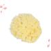 Healeved Mineral Bath Sponge | Natural Facial & Shower Scrubber | Bulk Honeycomb Bath Wipe for Optimal Skin Care - Buy Online on GoSupps.com