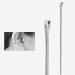 Stainless Steel Earwax Removal Kit - 6pcs Ear Pick & Curette Set with Storage Bin - Buy Online on GoSupps.com