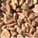 Dry Singhara Chest Nut 200 Gm