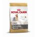 Royal Canin C-08600 SN Yorkshire 28-500 GR