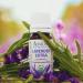 Lavender Extra Essential Oil 100% Pure Undiluted French Lavandula angustifolia Therapeutic Grade Premium Quality Aromatherapy Oil Tested & Verified 10ML Lavender 10 Fl Oz (Pack of 1) - Buy Online on GoSupps.com