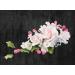 Shop Cake Company Orchid Peach & Pink Rose Sugar Flower Bouquet Bundle - International Shipping Available - Buy Online on GoSupps.com