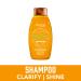 Aveeno Apple Cider Vinegar Shampoo + Conditioner 12 Fl Oz - Clarifying & Balancing Formula for Oily Hair - Paraben & Dye-Free - Buy Online on GoSupps.com