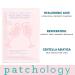 Patchology Facial Sheet Masks - Brightening and Hydrating Skincare for Men and Women - 4 Pack Rose Face Masks - Buy Online on GoSupps.com