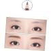 Balacoo 6 Pcs Waterproof Eyeliner Makeup Eyebrow Pencils White Eyebrow Pencil Brush Miss Eyebrow Brush Major 1 count (Pack of 1) As Shownx3pcs - Buy Online on GoSupps.com