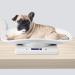 10kg/1g Digital Pet Scale with 3 Weighing Modes Pet Scale to Measure Dog Multi-Function Baby Scale for Weighing Small Pet - Buy Online on GoSupps.com