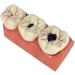 4X Caries Teeth Disassembling Model - Dental Brush & Floss Practice Tool for Teaching & Learning | International Shipping Available - Buy Online on GoSupps.com